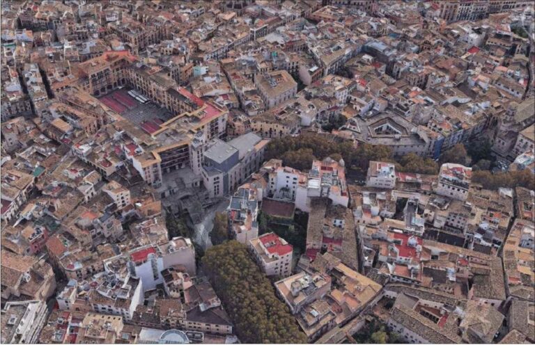 palma-desde-aire