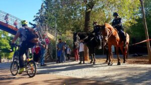 policia local palma caballo