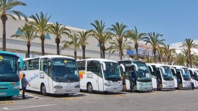 autobuses turísticos autobus