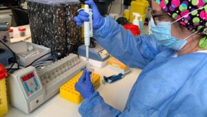 coronavirus-laboratorio-pcr