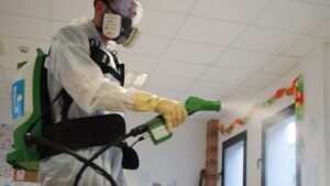 brillosa desinfeccion