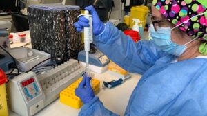 coronavirus-laboratorio-pcr