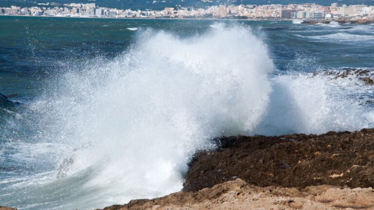 temporal mar