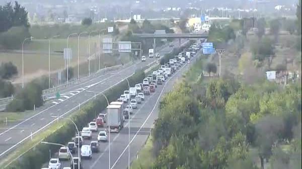 trafico