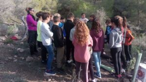 reforestando Na Burguesa