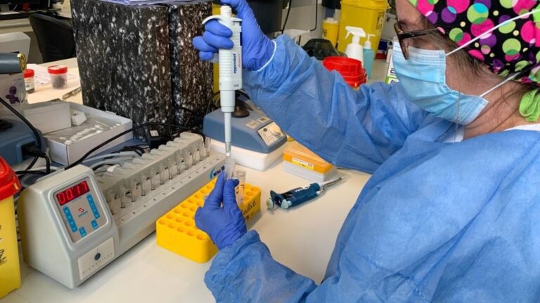 coronavirus-laboratorio-pcr