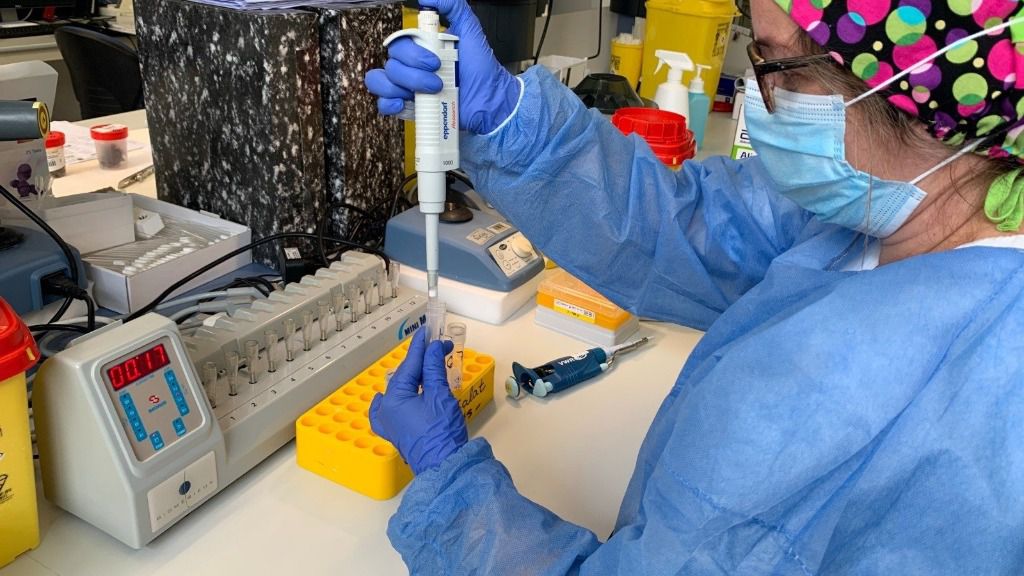 coronavirus-laboratorio-pcr