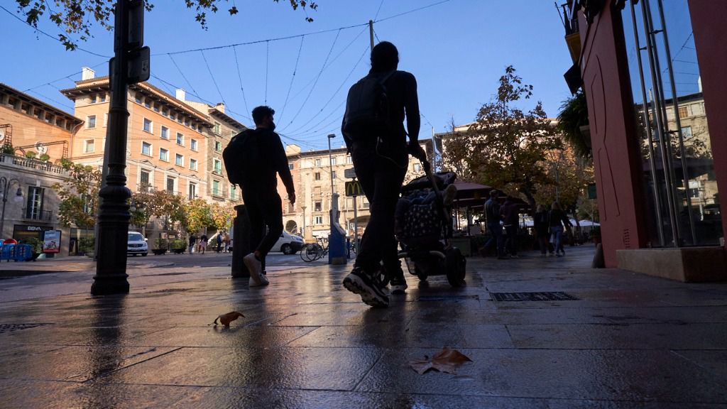 palma calle