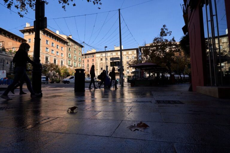palma calle