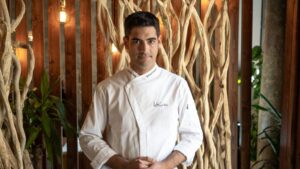 andreu genestra aromata