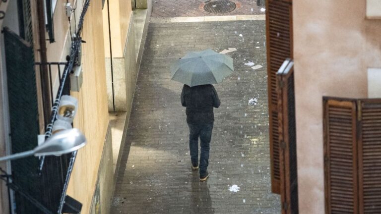 lluvia palma