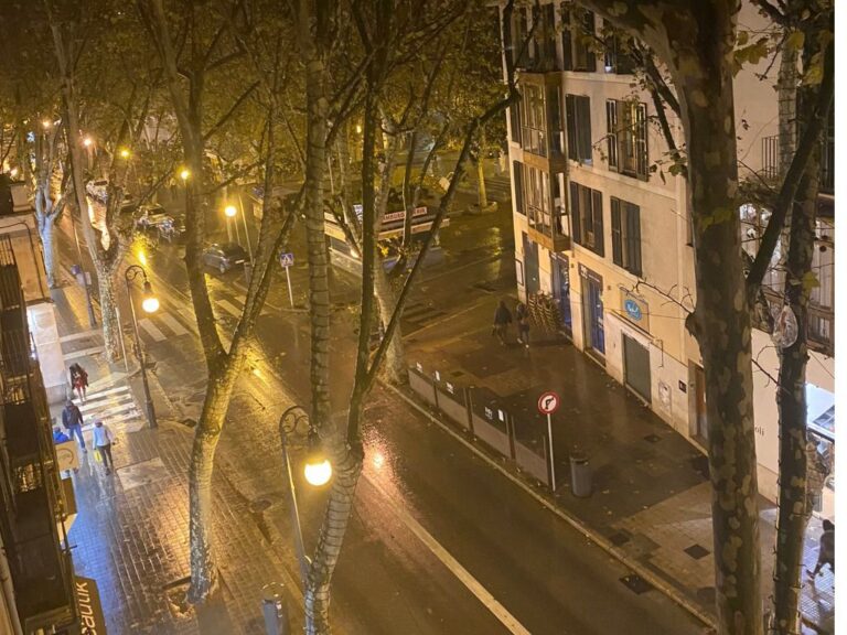 Fotografía: @Afedeco