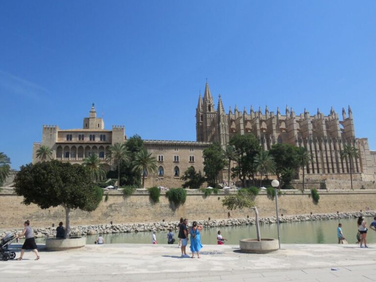 turismo palma turistas centro catedral ser