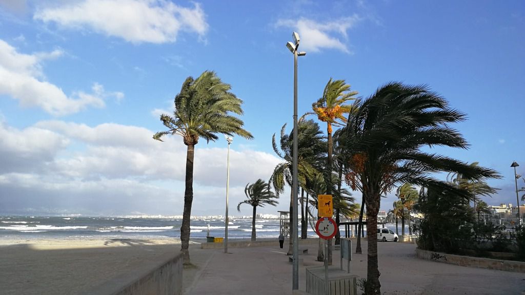 viento temporal