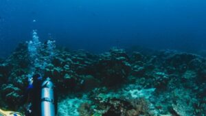 submarinista aplidin coronavirus