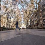 borne palma
