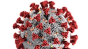 coronavirus microscopio