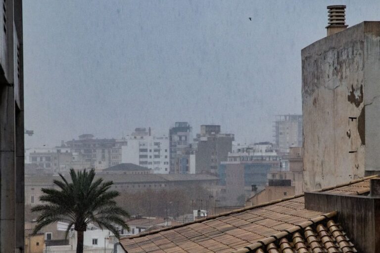 lluvia palma