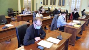 comision salut parlamento