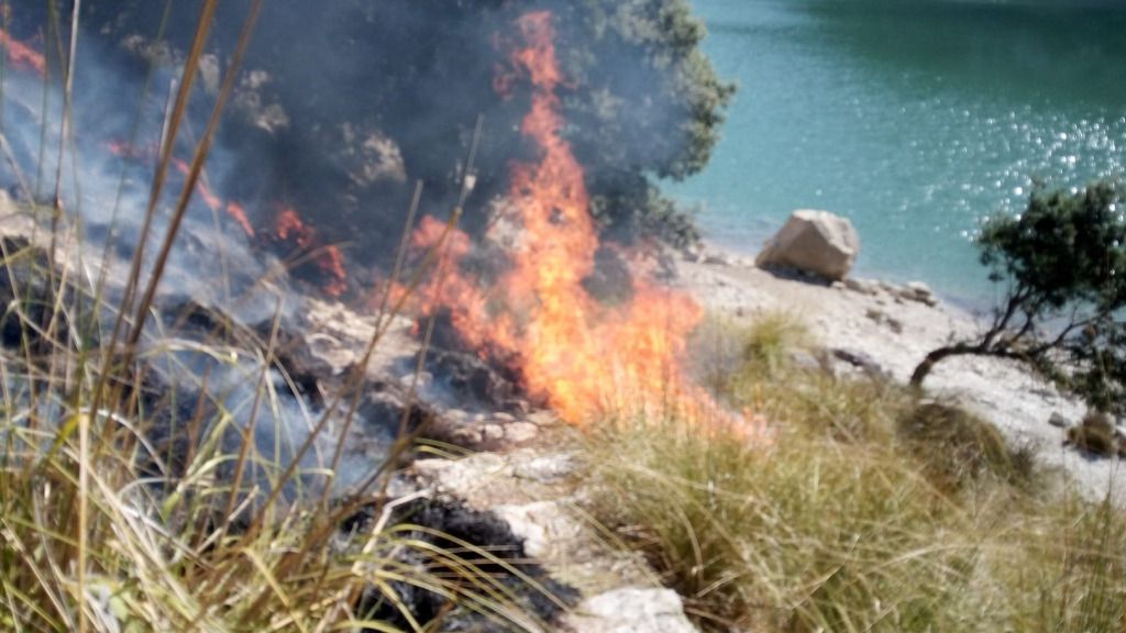 incendio gorg blau