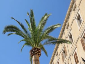 sol buen tiempo despejado cielo