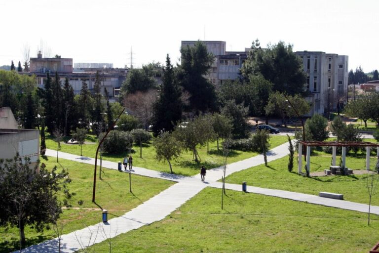 UIB universidad