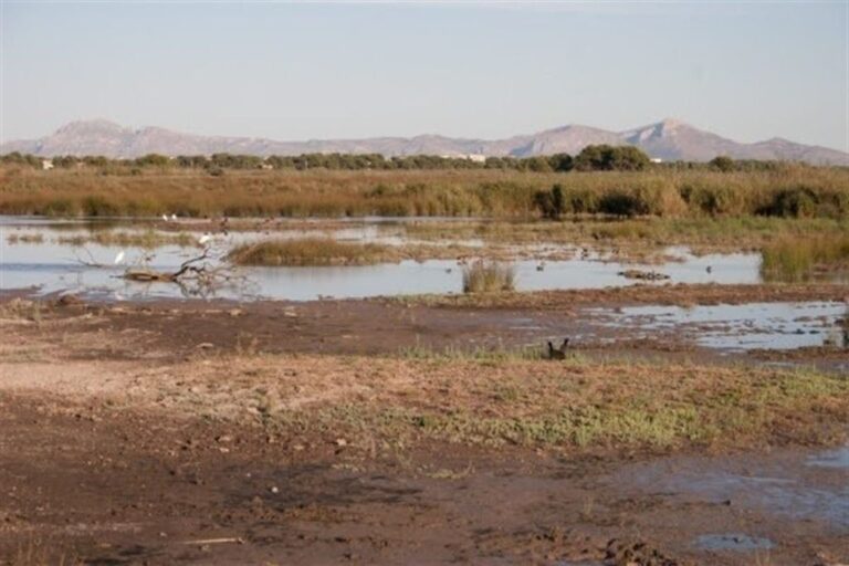 Albufera