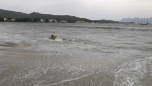 Port de Pollen&ccedil;a 2