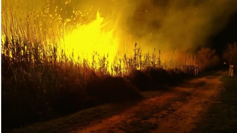 incendio, fire