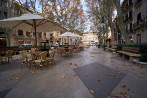 Palma-terrazas-vacias