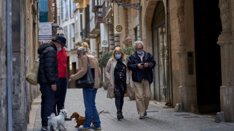 Palma-peatones-perros-mascarilla