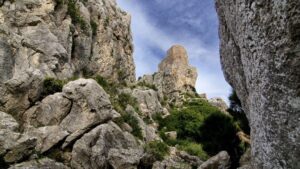 II Certamen de Fotografa Serra de Tramuntana