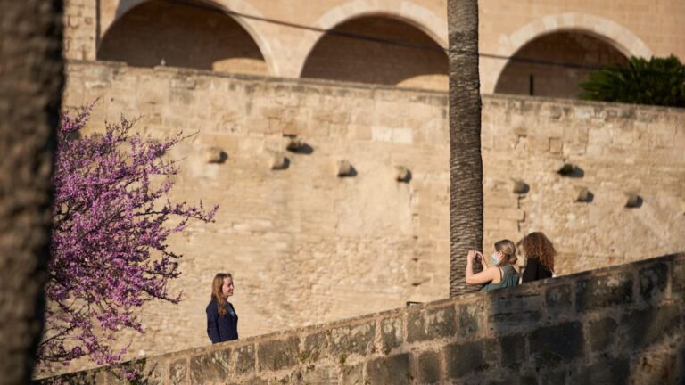 Turistas en Palma