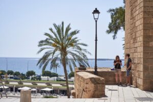 palmera-sol-buen-tiempo