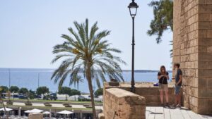 palmera-sol-buen-tiempo