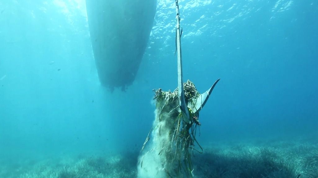Posidonia, emisaris y fondeos