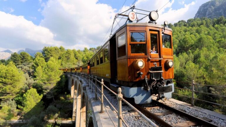 tren de sóller