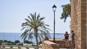 palmera-sol-buen-tiempo