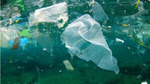 pl&aacute;sticos desechables