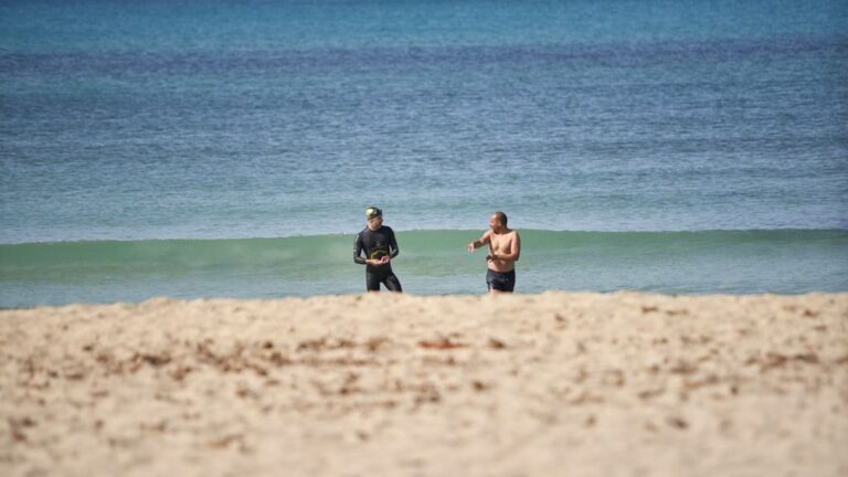 playa de palma turistas
