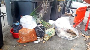 basura palma