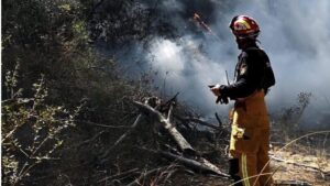 incendio forestal