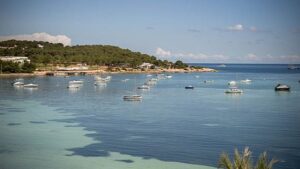 ADOPUMA reclama la aprobaci&oacute;n urgente de la ley del litoral para garantizar la protecci&oacute;n de la costa balear