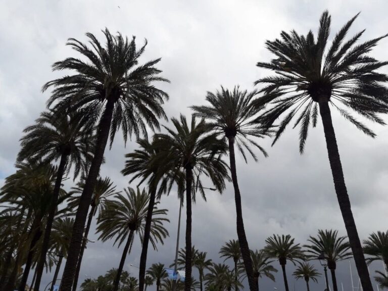 nubes
