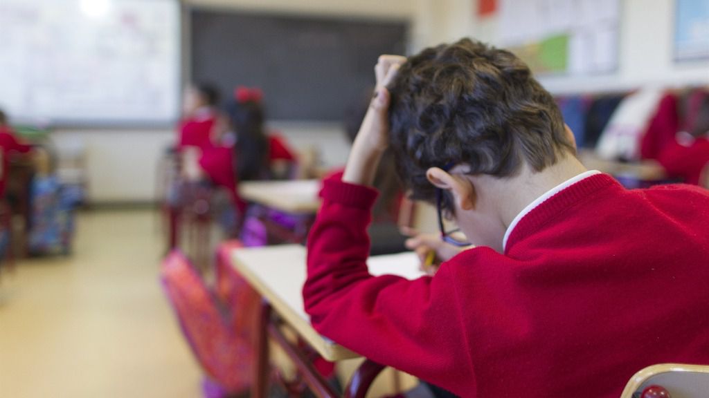 colegio niño estudiante clase
