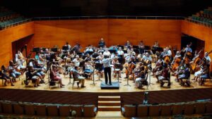 arquesta sinf&oacute;nica