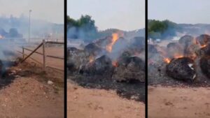 Im&aacute;genes de Bombers de Mallorca