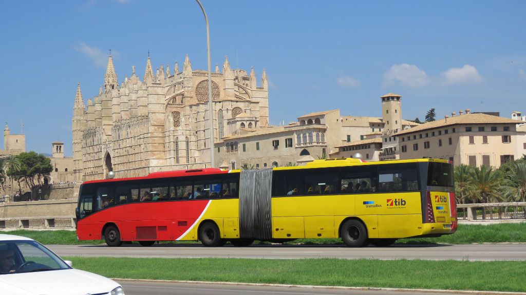 tib bus