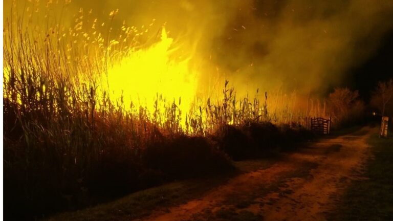 incendio, fire