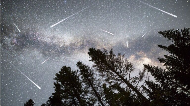 perseidas